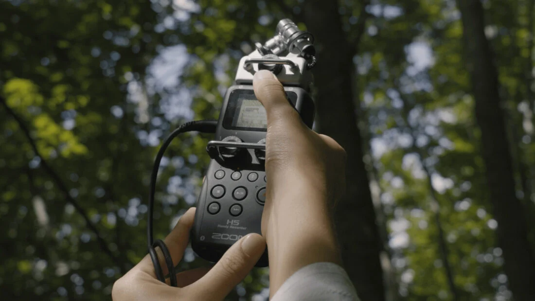 Refugi Sonor: Estrena