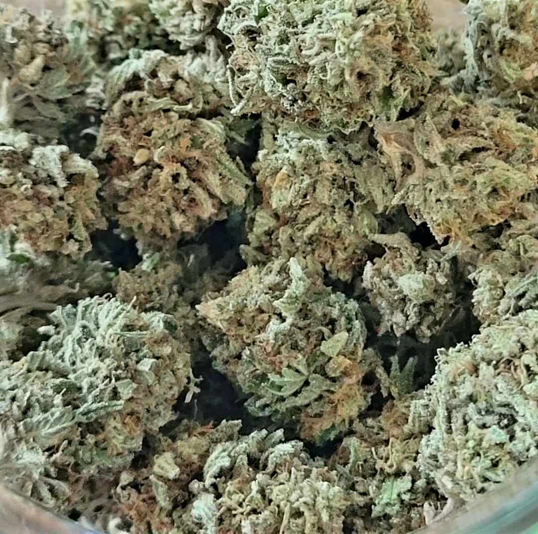 A collection of trimmed cannabis flowers