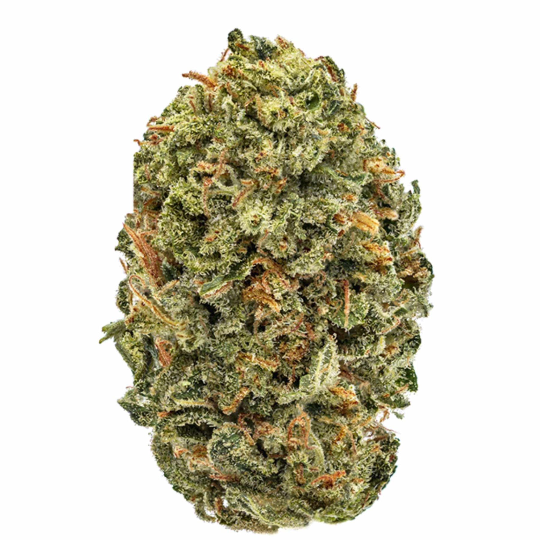 A trimmed cannabis flower photographed against a white background