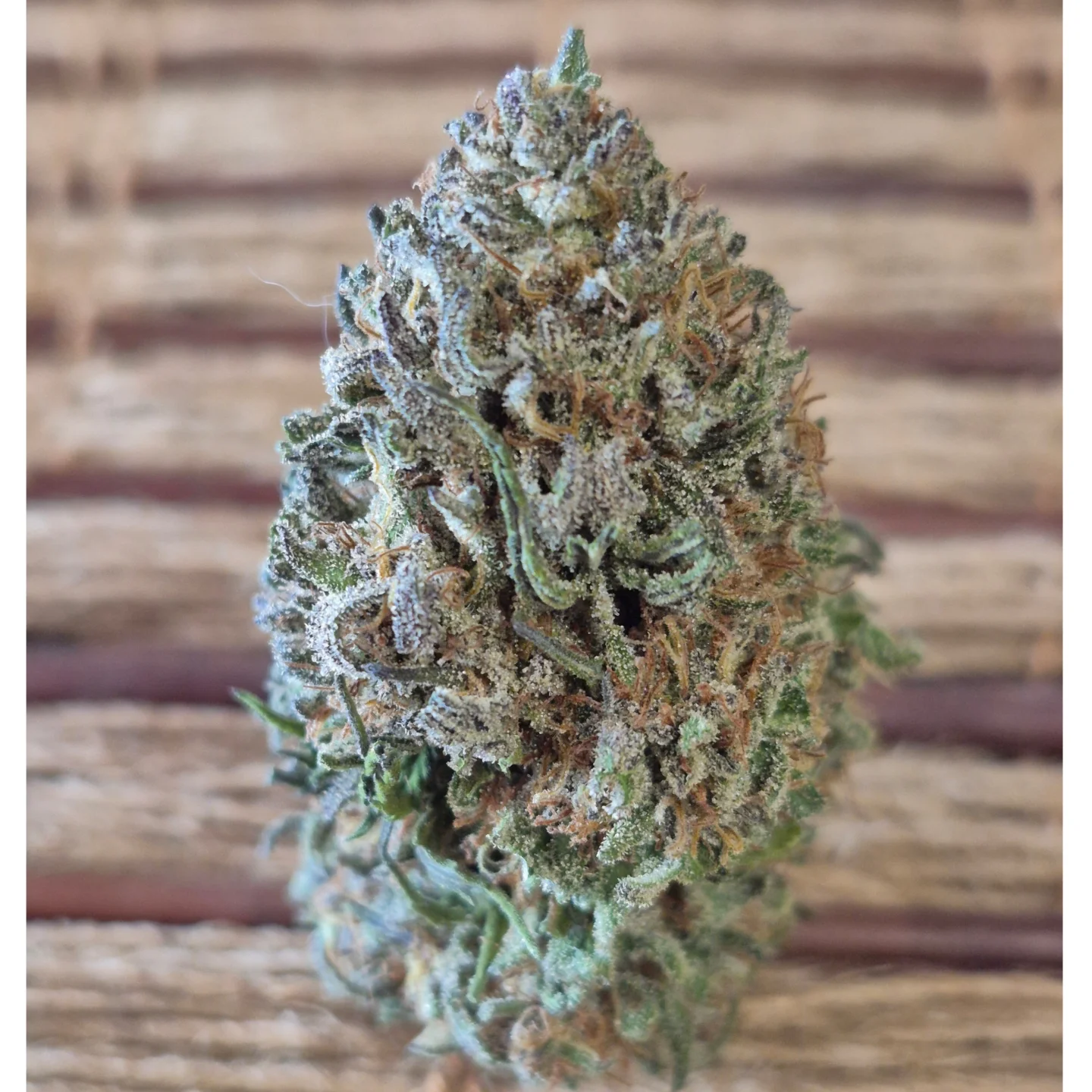 Close-up of a Blue Swami cannabis flower against a wood background