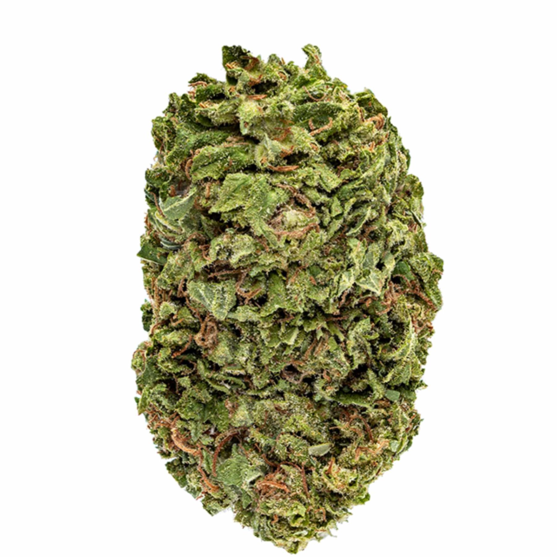 A tall trimmed cannabis flower against a white background