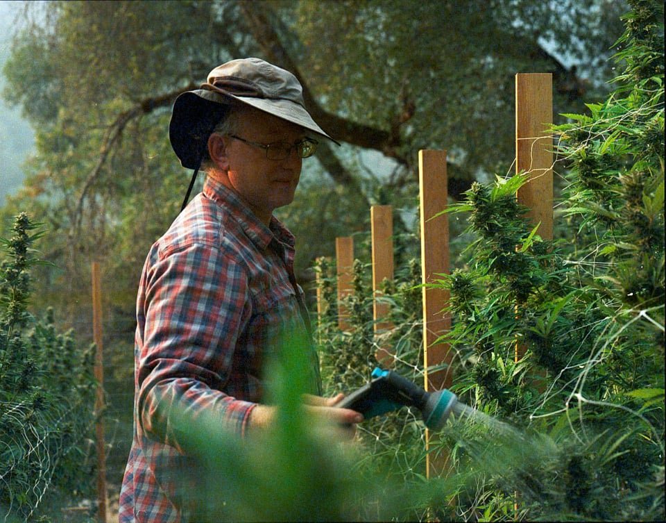 A person tending plants in the garden while wearing a wide-brimmed hat