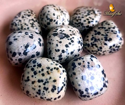 DALMATINO (DIASPRO DALMATA)