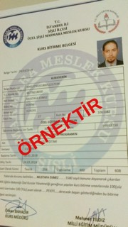 Mustafa Yiğit EFE-0