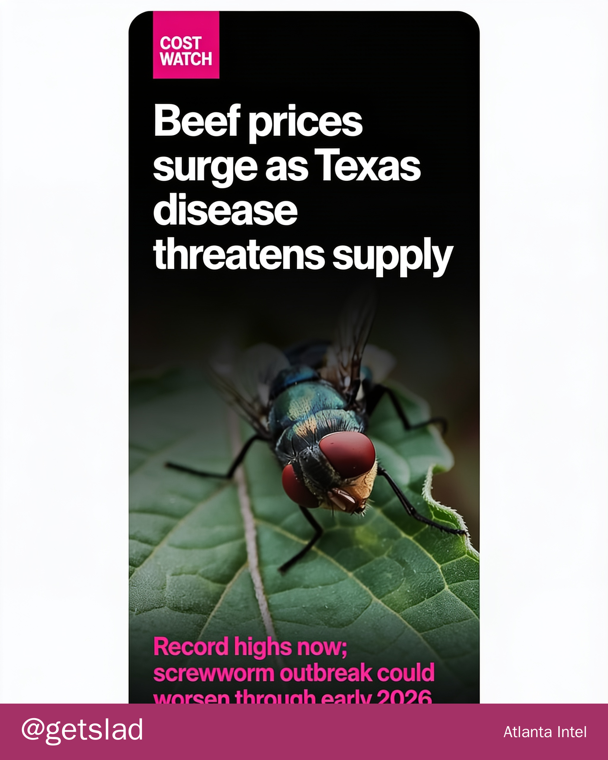 Beef prices surge as Texas disease threatens supply
