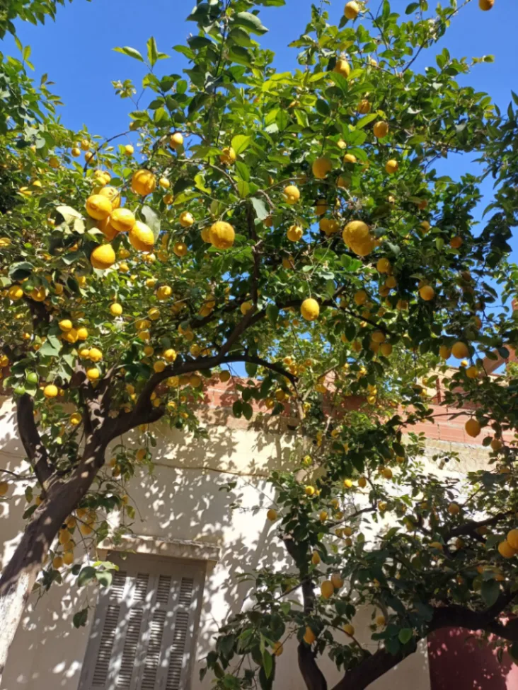 Photo de l'appartement