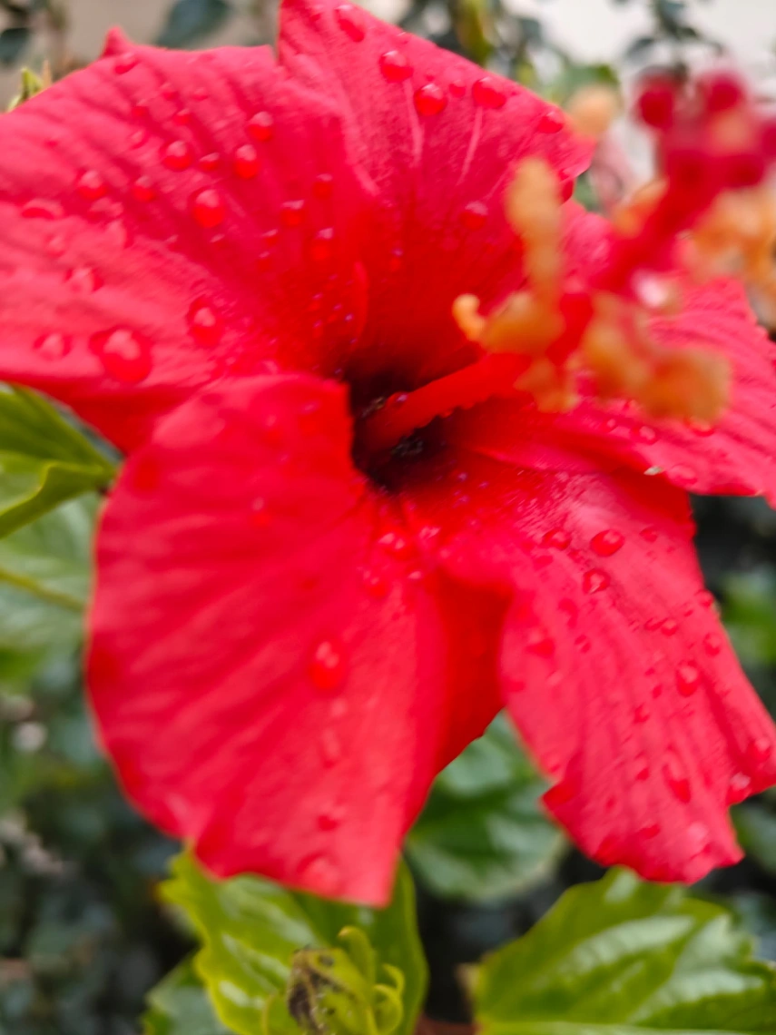 Photo de l'appartement