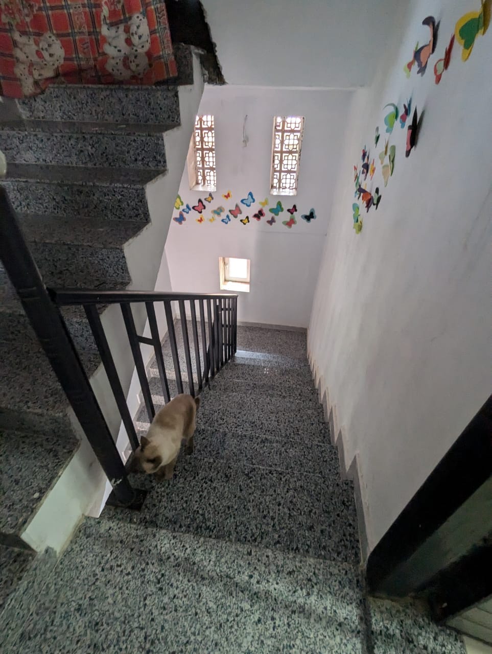 Maison à vendre à Ouled Moussa
