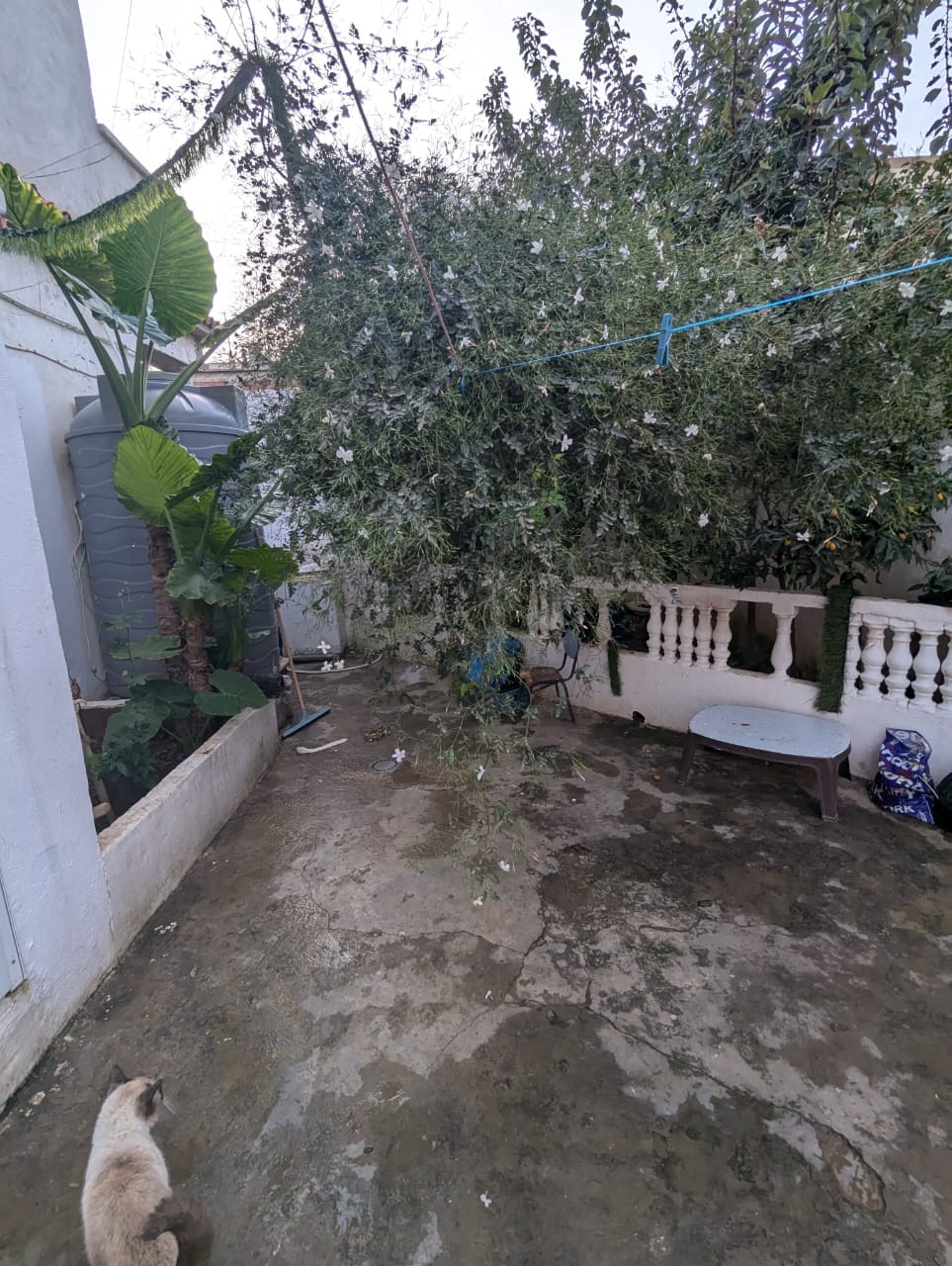 Maison à vendre à Ouled Moussa