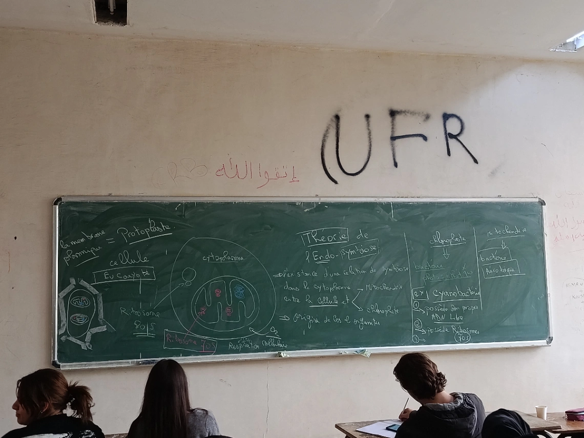 Photo de l'appartement