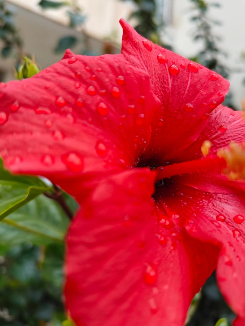 Photo de l'appartement