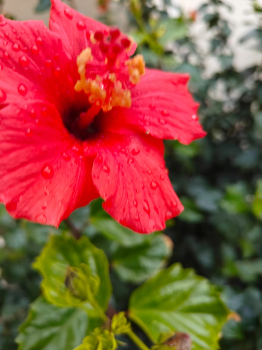 Photo de l'appartement