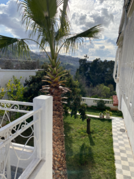 Photo de l'appartement