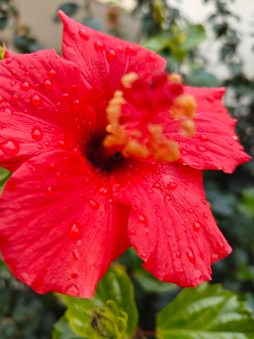 Photo de l'appartement