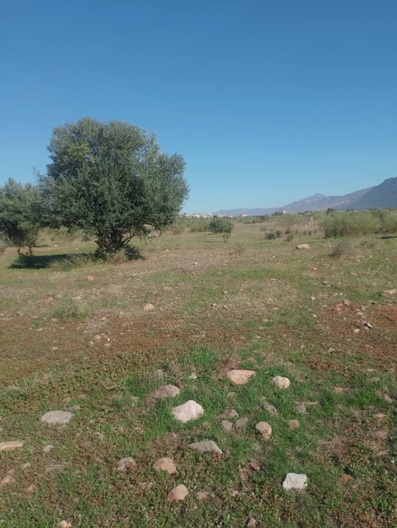 Terrain à Akbou, 39000m² - 0 pièces