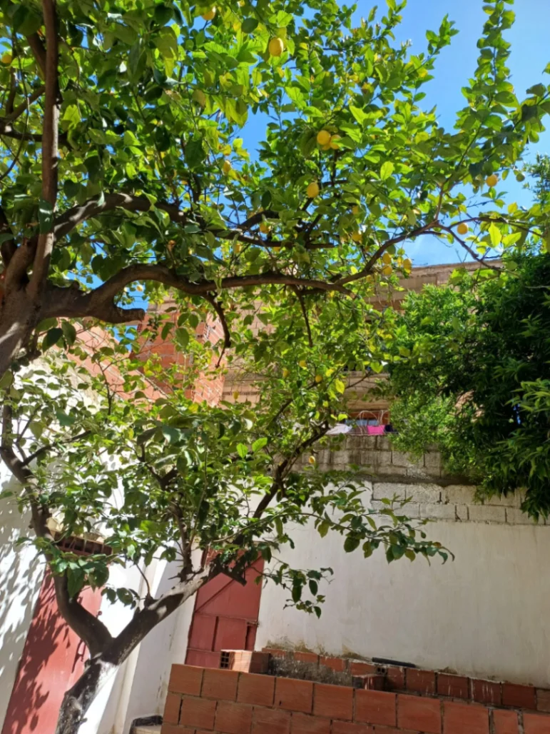Maison à vendre à Bejaia