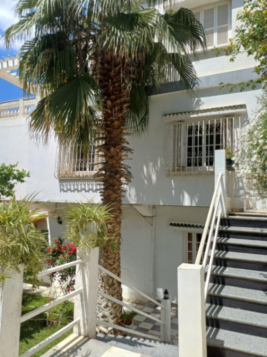 Photo de l'appartement