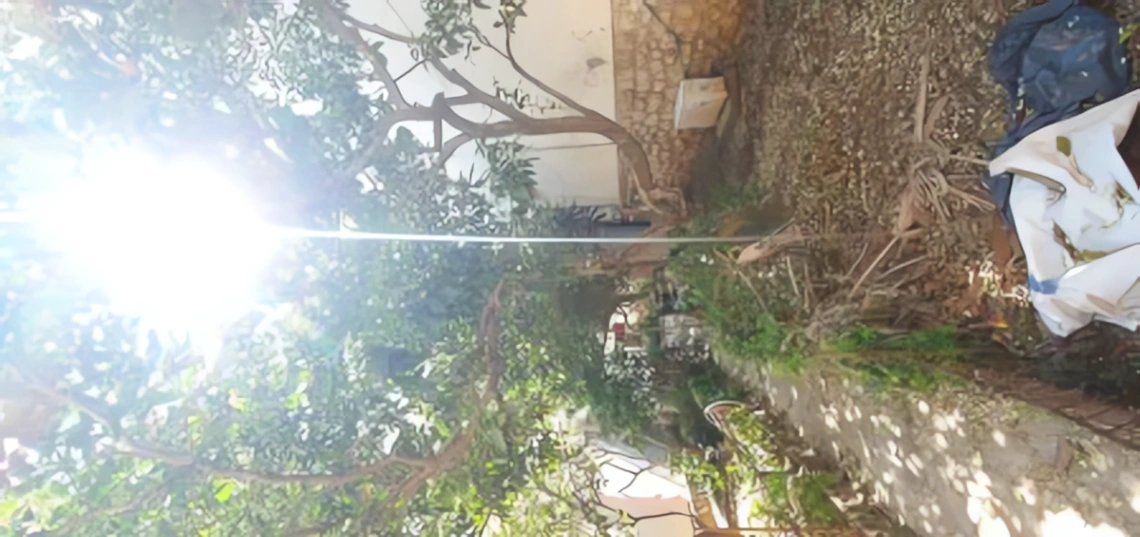 Maison à vendre à El Biar