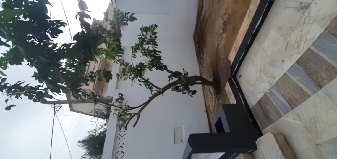 Maison à louer à Dely Ibrahim