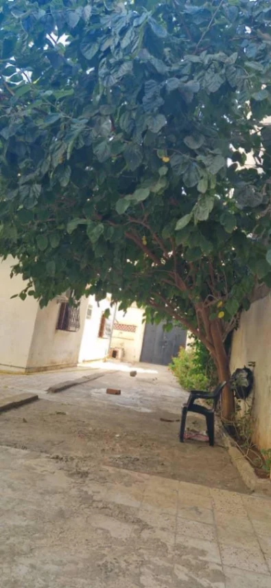 Photo de l'appartement