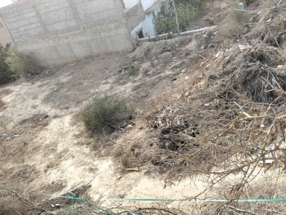 Terrain à Ain Nouissy, 156m² - 0 pièces