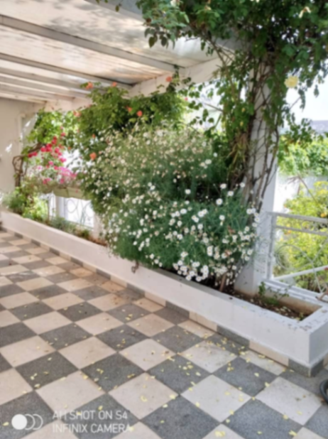 Photo de l'appartement