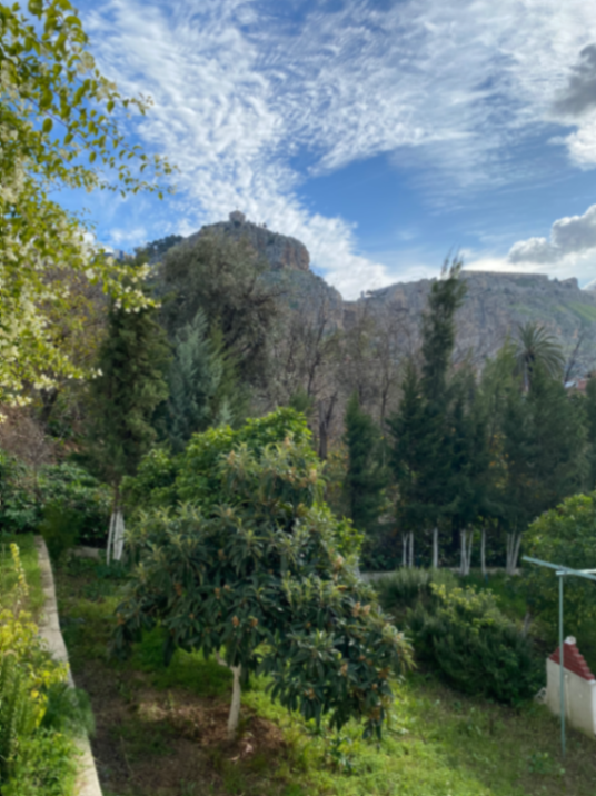 Photo de l'appartement