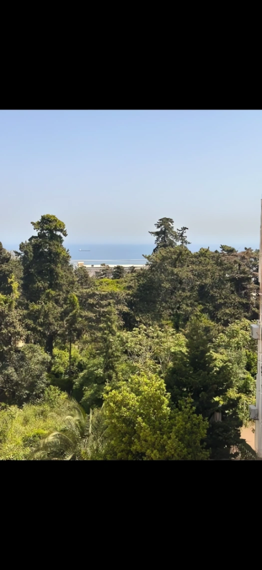 Maison à louer à Alger Centre