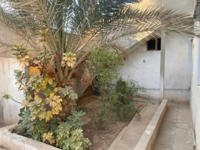 Maison à louer à Ouled Djellal