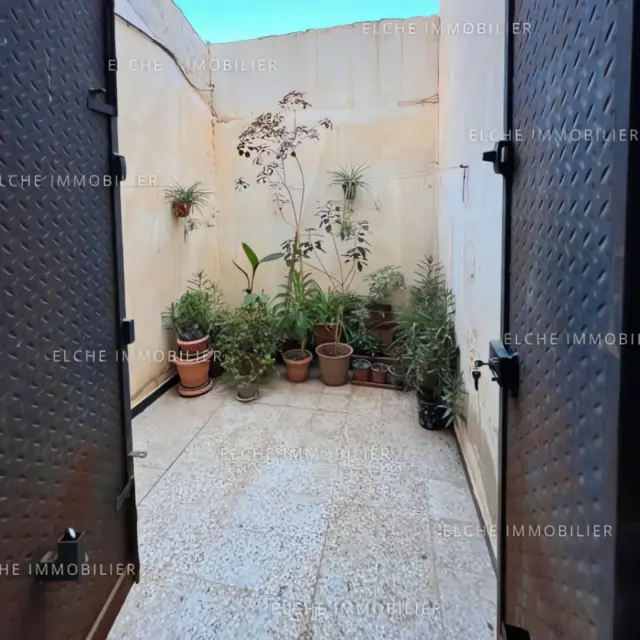 Appartement à vendre à Oran