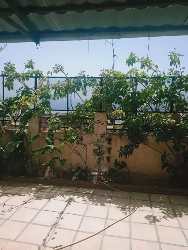 Appartement à vendre à Bejaia