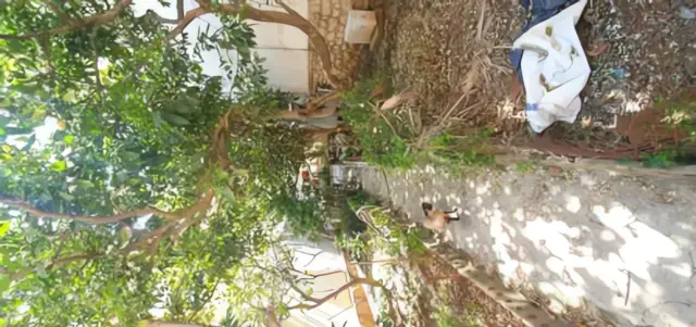 Maison à vendre à El Biar