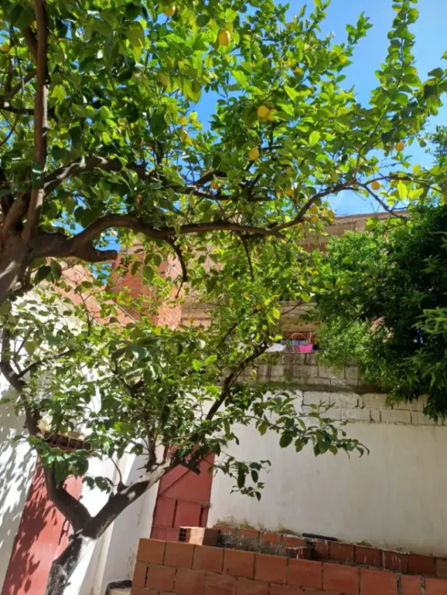 Maison à vendre à Bejaia