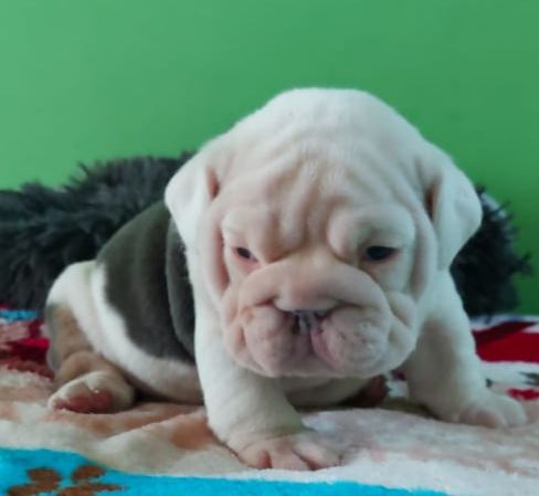 Refund and Returns Policy - 3