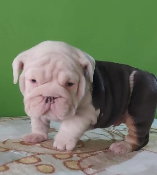 Refund and Returns Policy - 5