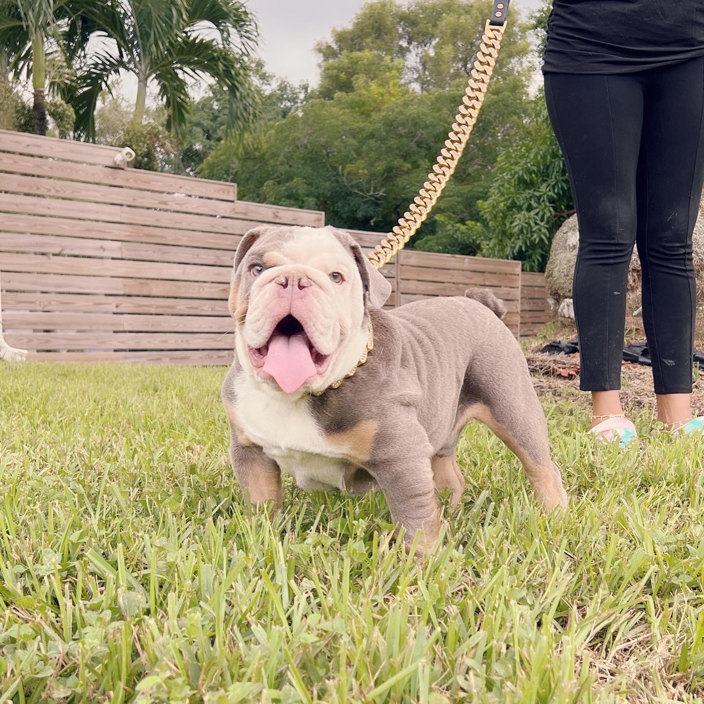 Pets Hotel / Overnight Services​ - 6