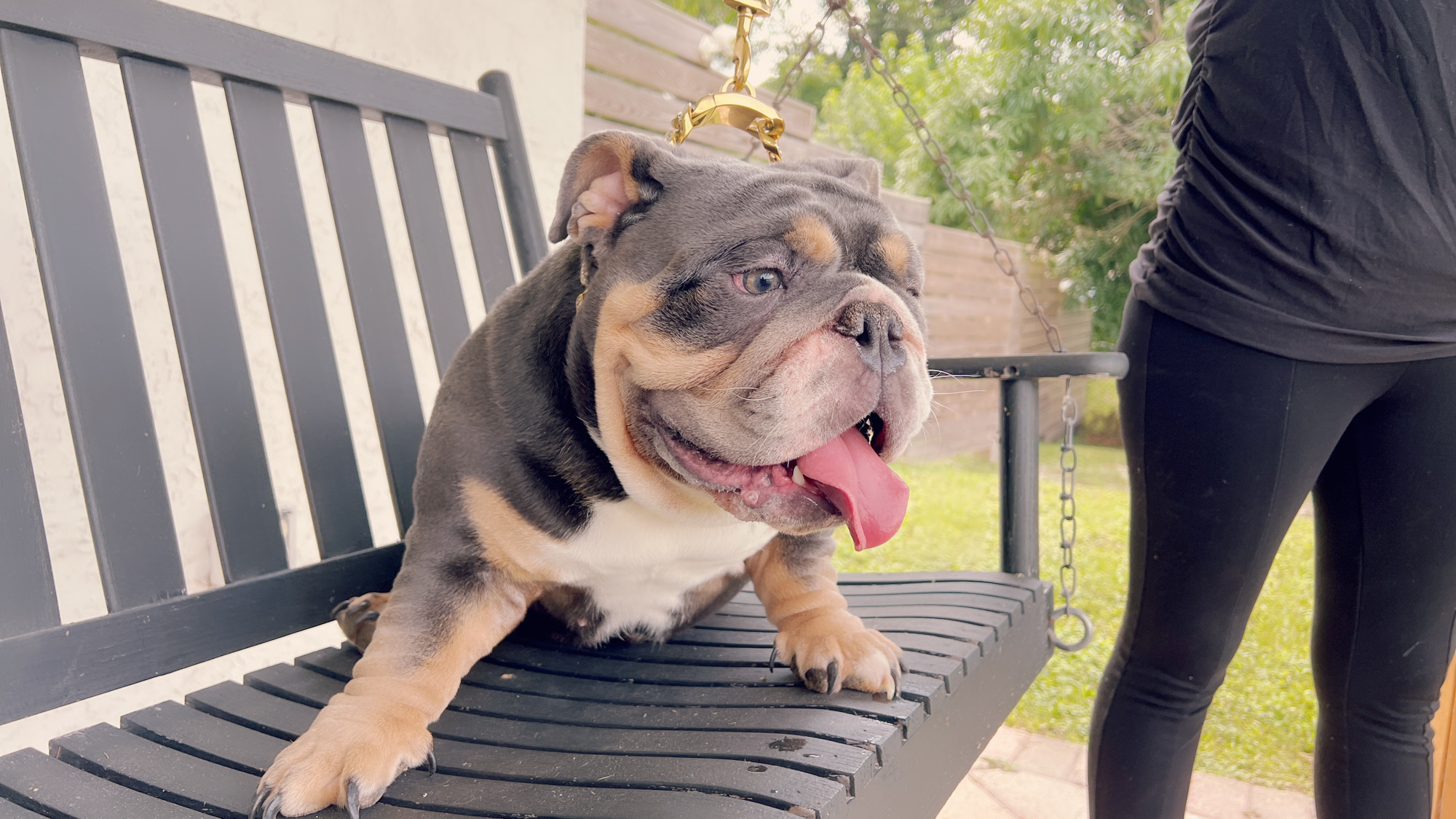 Veterinary Services - 8