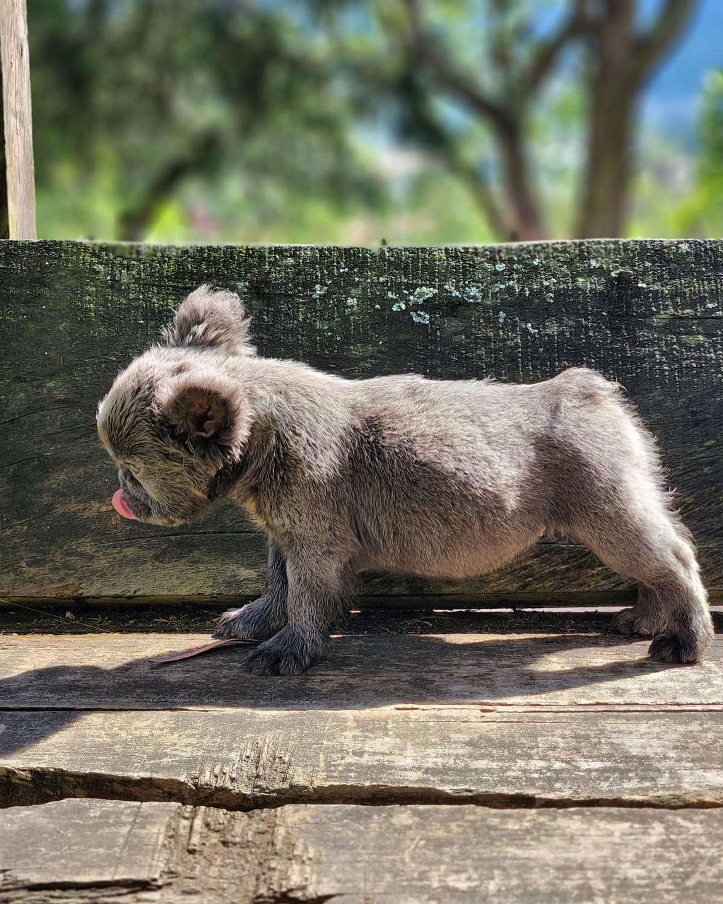 elementor-mega-item-2673 - 8