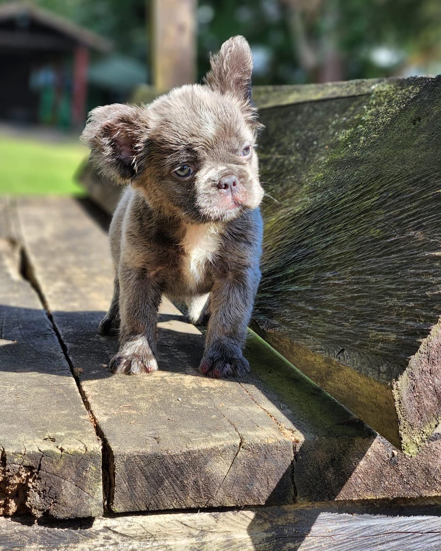 elementor-mega-item-2673 - 3