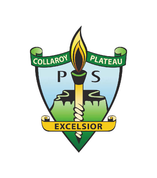 Collaroy Plateau Public School