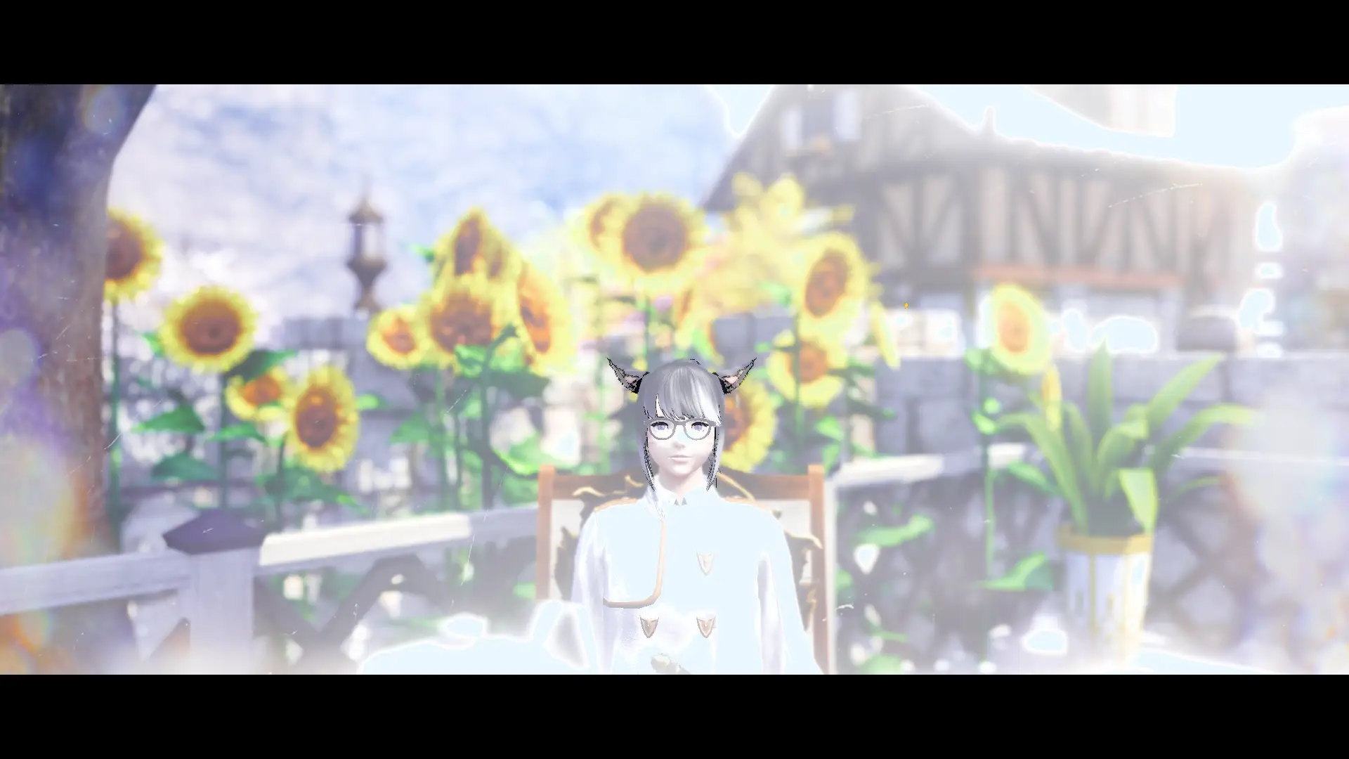 by 利兹@沃仙曦染