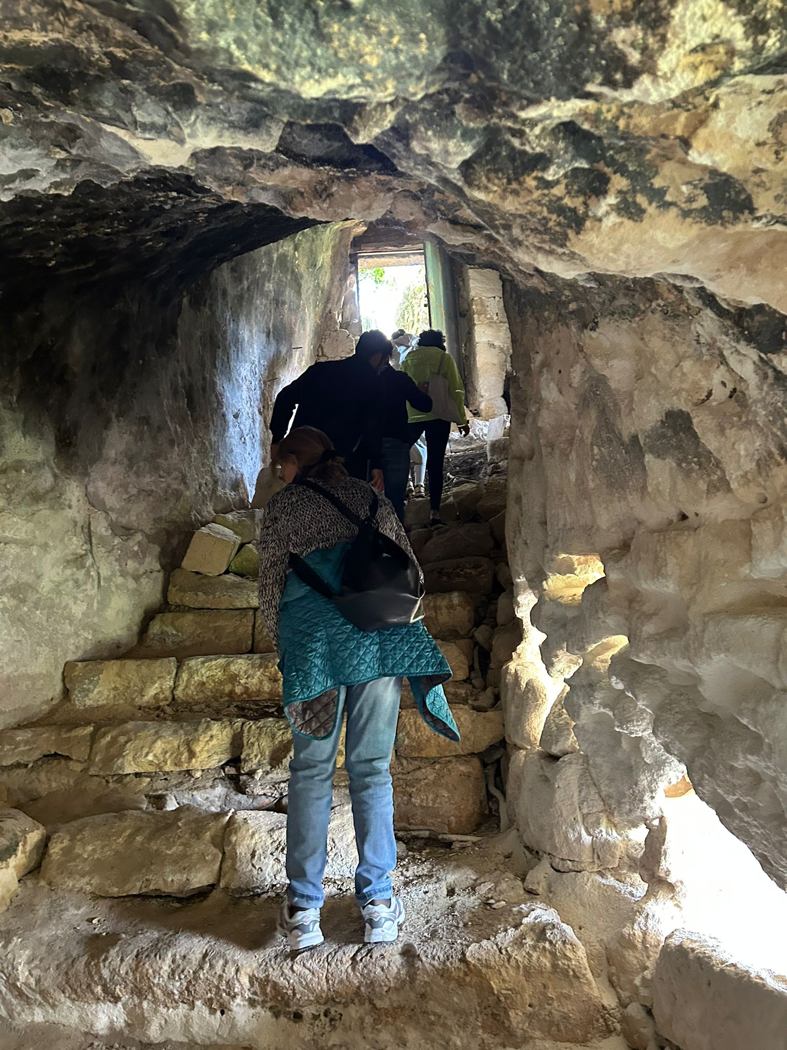 Slow Food – Die Tempel des Öls – Olivi Patriarchi - Image 9