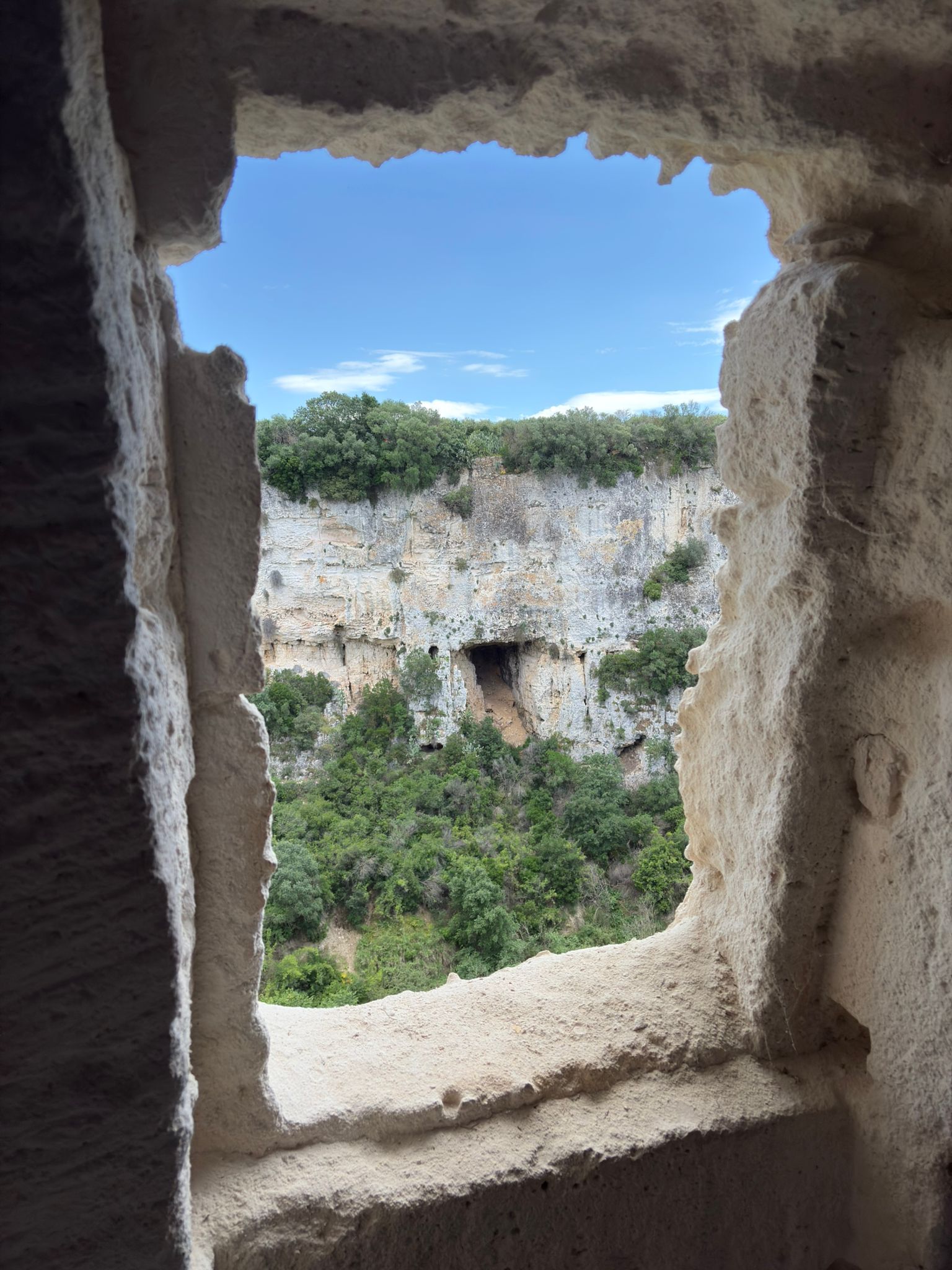 Slow Food – Die Tempel des Öls – Olivi Patriarchi - Image 1