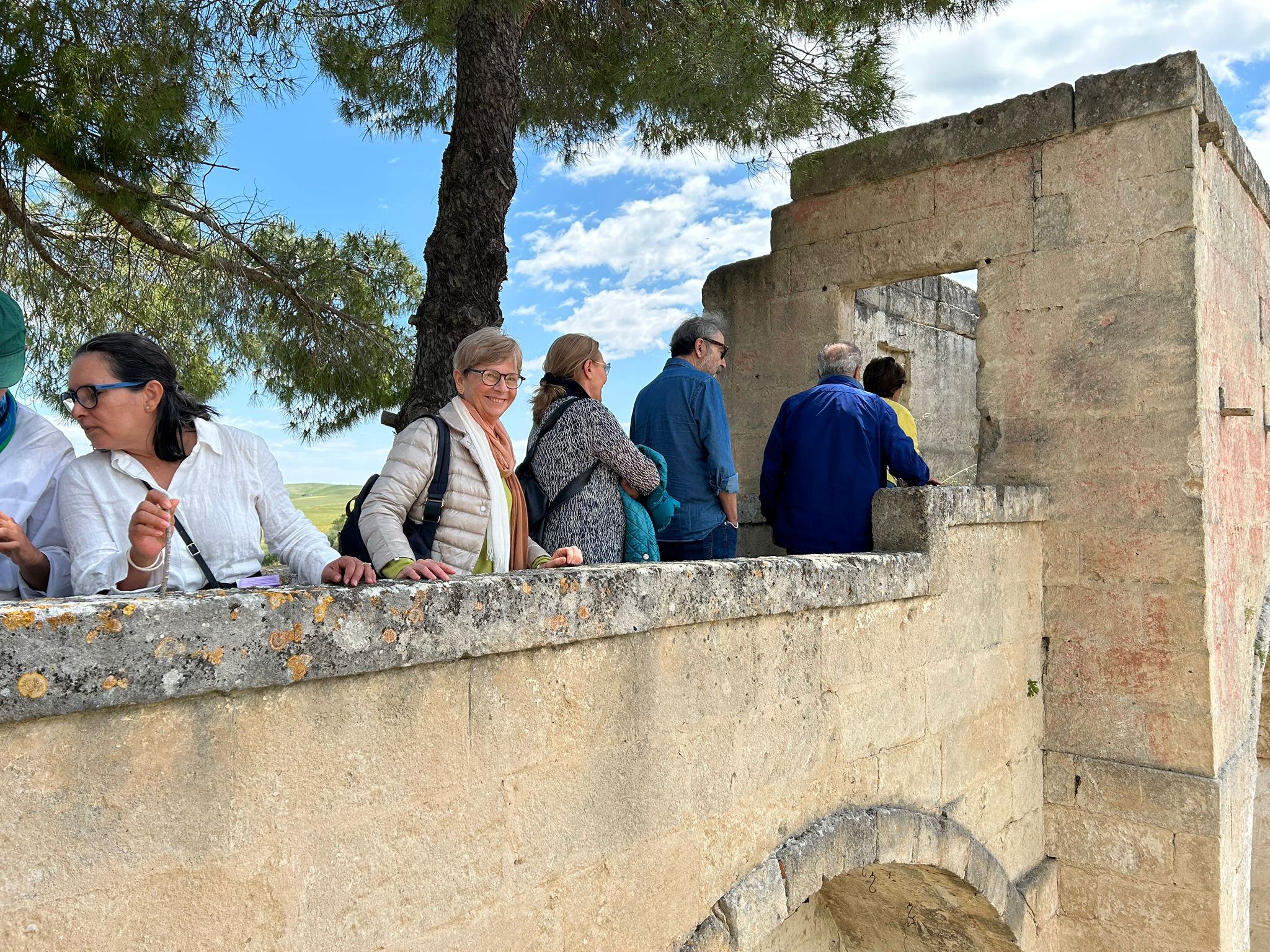 Slow Food – Die Tempel des Öls – Olivi Patriarchi - Image 13