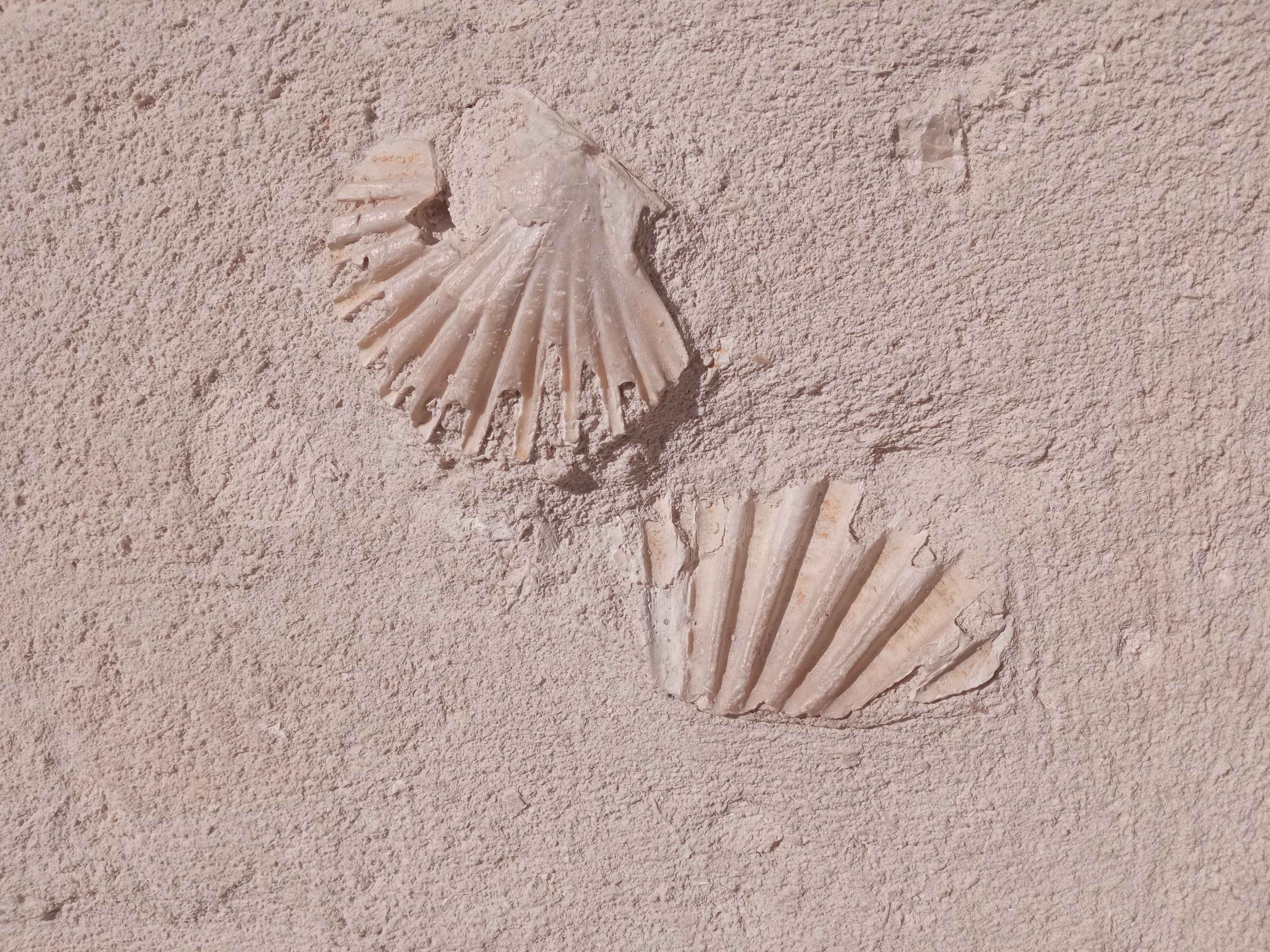 Geführte Tour durch die Sassi - Image 6