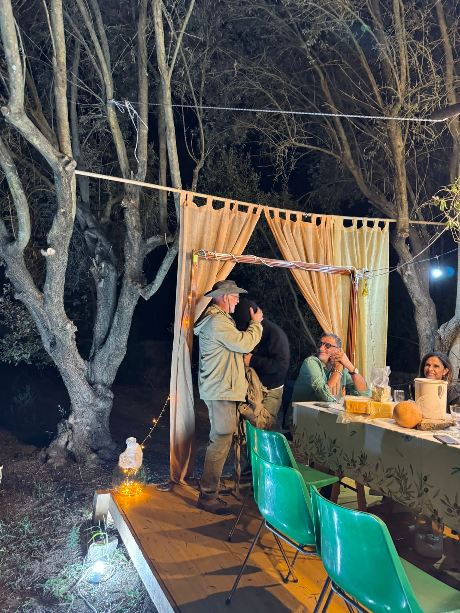 Tra gli olivi nel bosco - Image 1