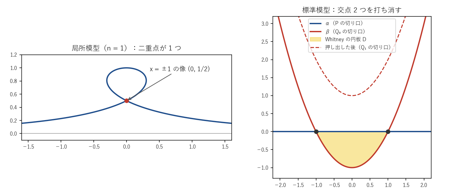 左：局所模型の n = 1 の場合の曲線 x ↦ (x − 2x/(1+x²), 1/(1+x²))。x = ±1 がともに (0, 1/2) に写り、二重点はここだけである。右：標準模型の (a, b) 平面での切り口。横の直線 α（P の切り口）と放物線 β（Q₀ の切り口）が a = ±1 で交わり、その間の領域が Whitney の円板 D である。点線は押し出した後の Q₁ の切り口（|a| ≤ 2 の範囲）で、α と交わらない