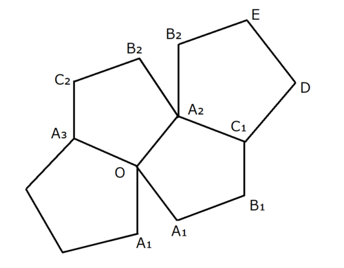 正十二面体(の展開図)の一部