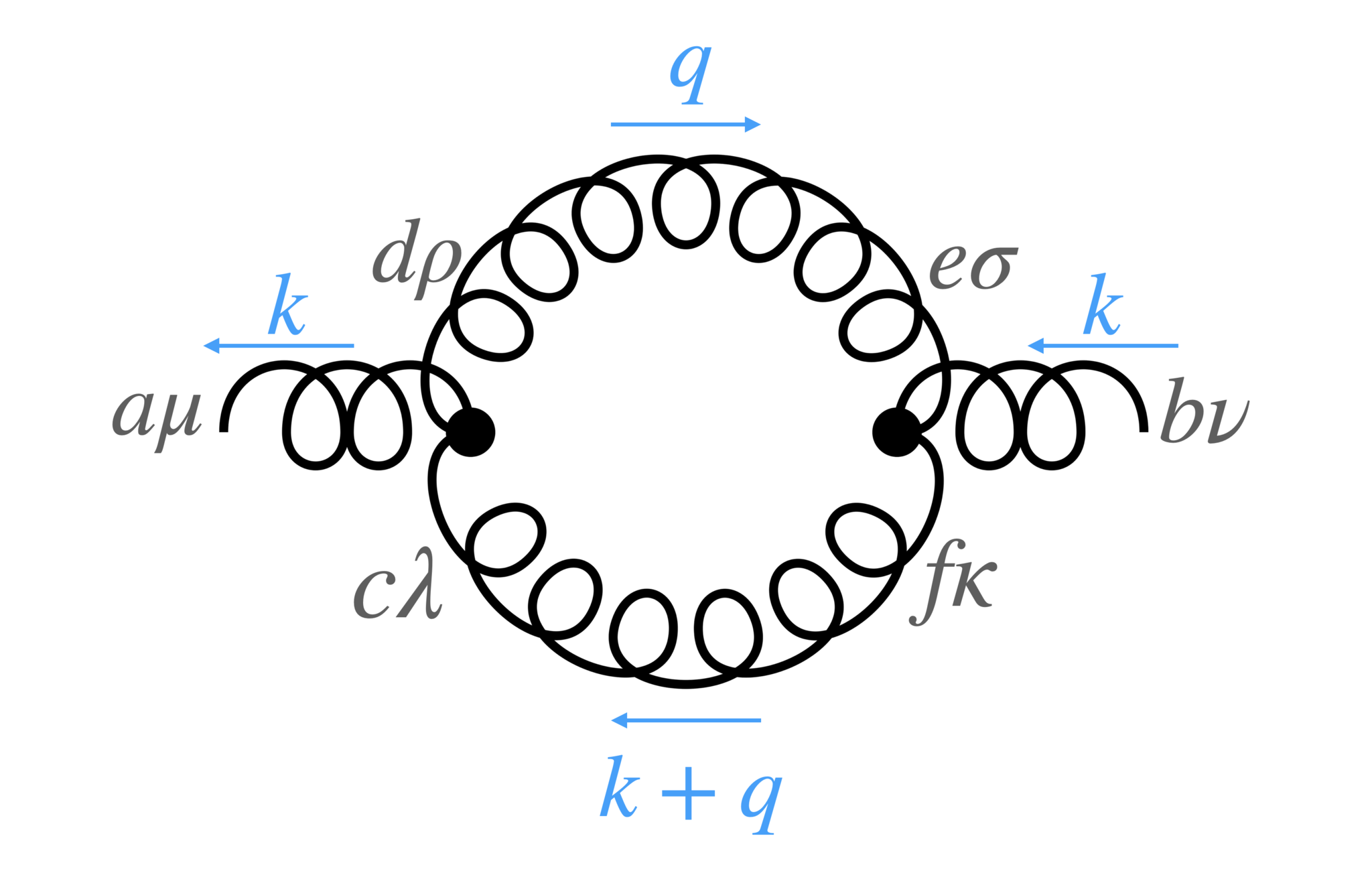 gluon loop