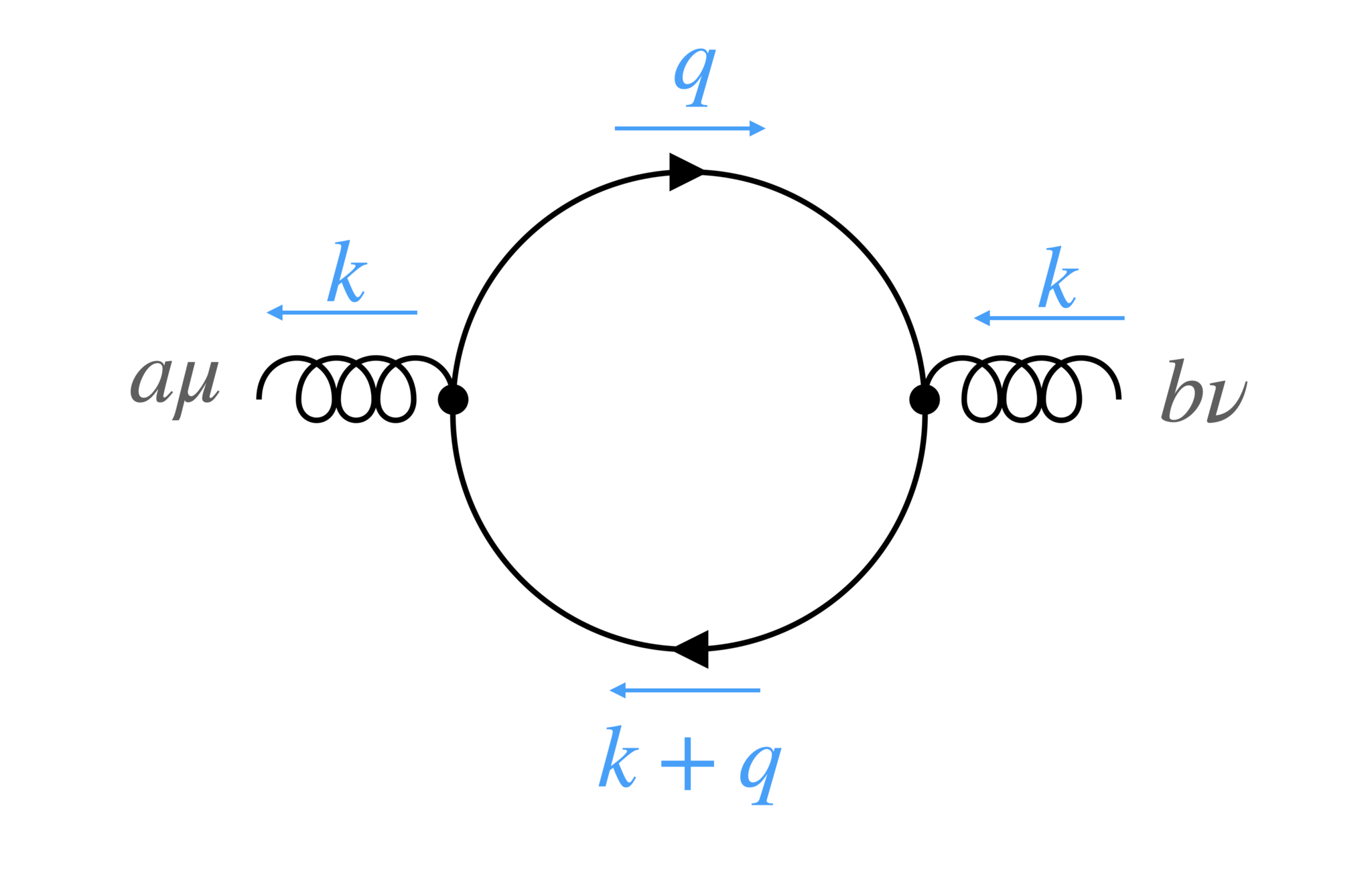 quark loop